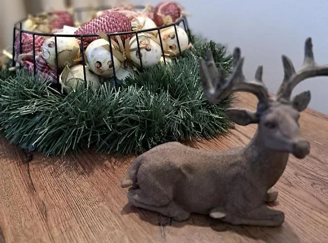 Winslow Highland - Giovanni, ул валевица 7 кв грамадето 반스코