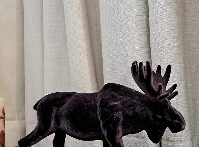 Winslow Highland - Giovanni, ул валевица 7 кв грамадето מלון דירות בנסקו