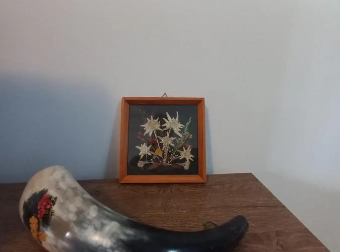 Winslow Highland - Giovanni, ул валевица 7 кв грамадето